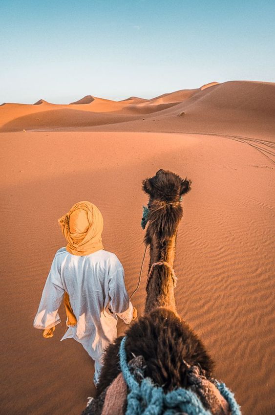 Excursion Journée à Ksar Ghilane